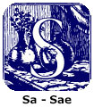 Sa-Sae